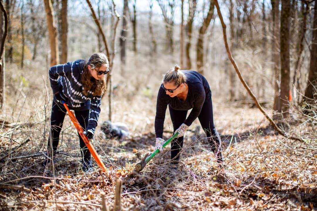 People pulling weeds