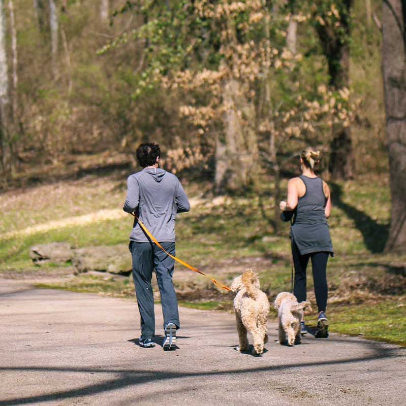 Trails - Friends of Warner Parks