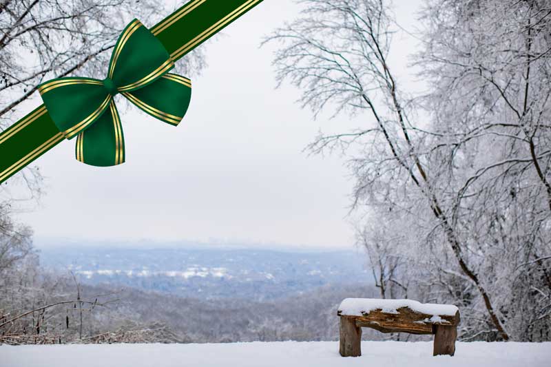 Park bench covered in snow with a green ribbon in the upper left hand corner