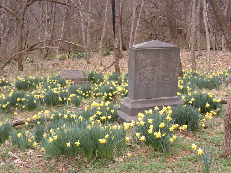 Tombstone in a bed of flowers