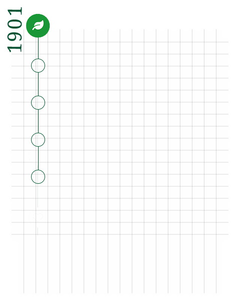 1901 Timeline