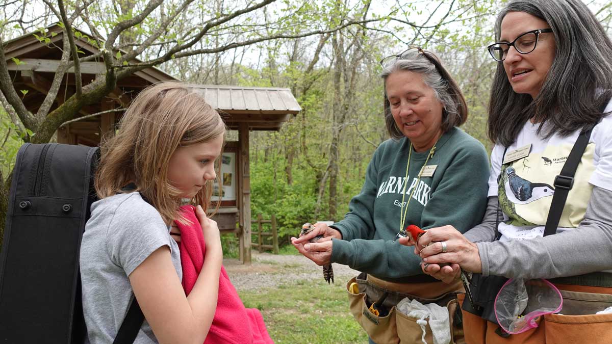 Licensed BIRD Banders showing student two Red-Bellied Woodpeckers.