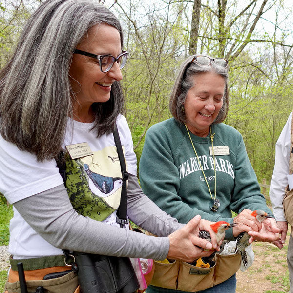 Researchers holding woodpeckers