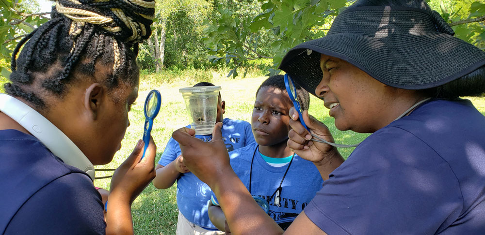 Group of students observing a bug in a water cup using magnifying glasses. 