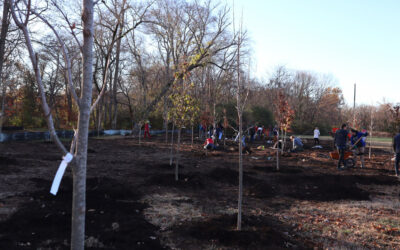 123 Native Trees Planted for Edwin Warner Park Restoration Project