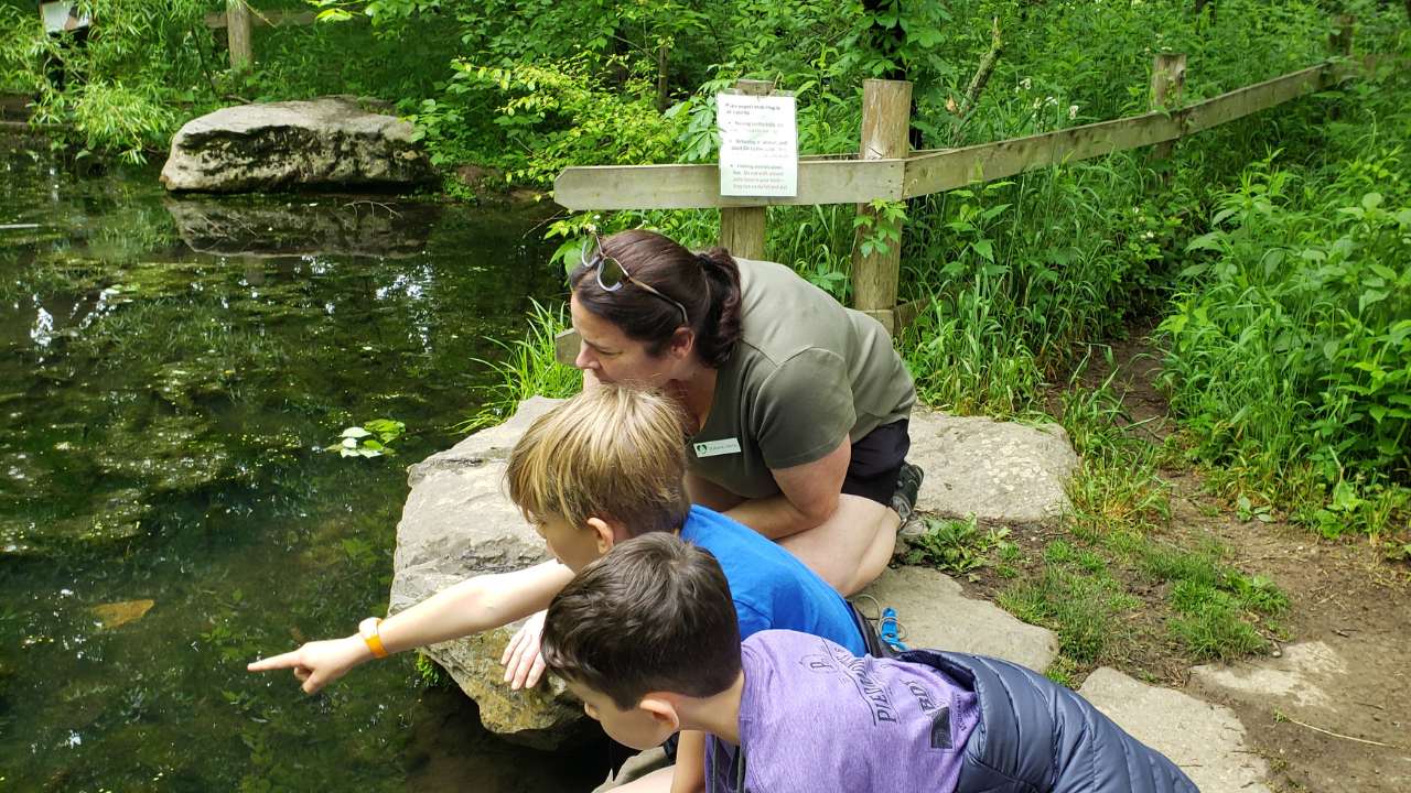 Two kids and a naturalist looking into a pond