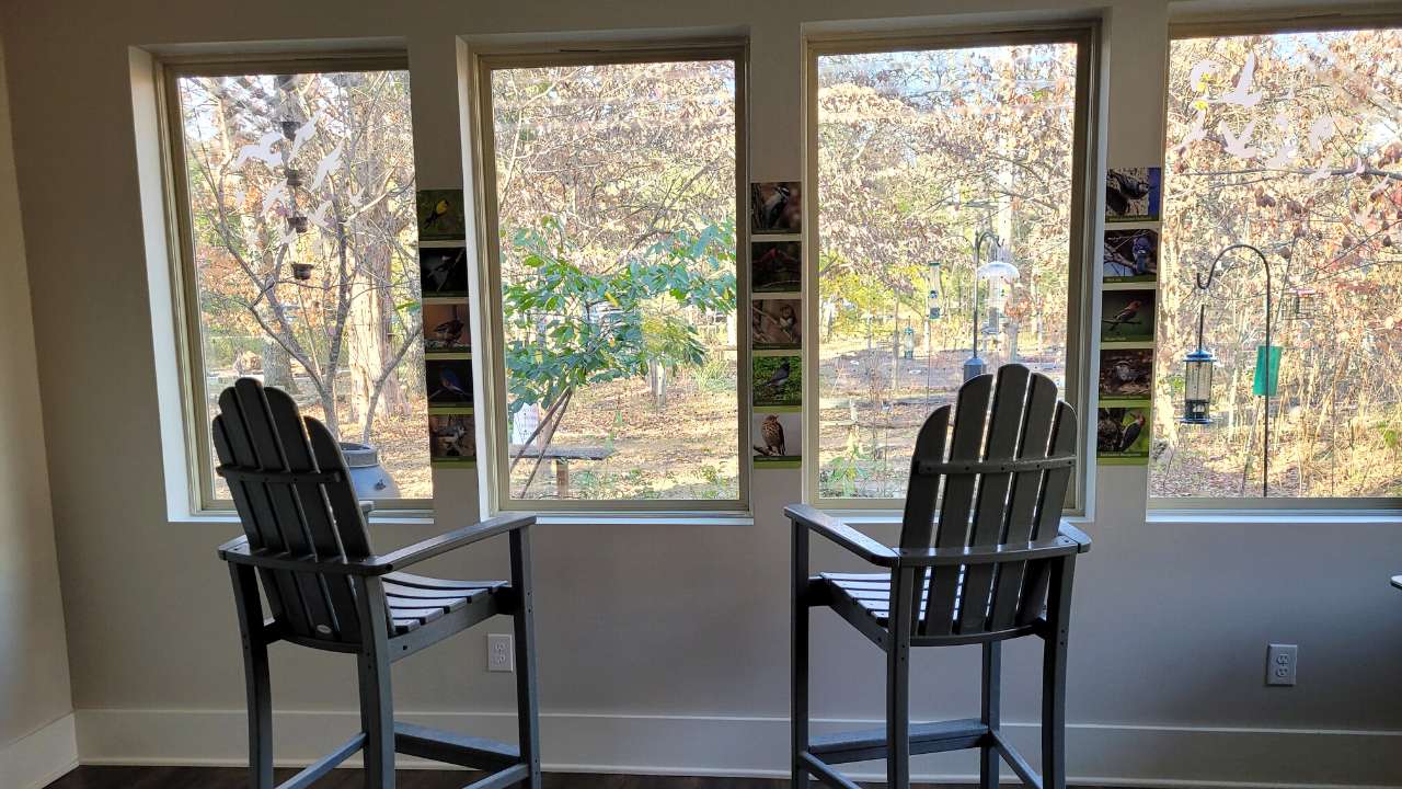 Chairs in front of the observation windows.