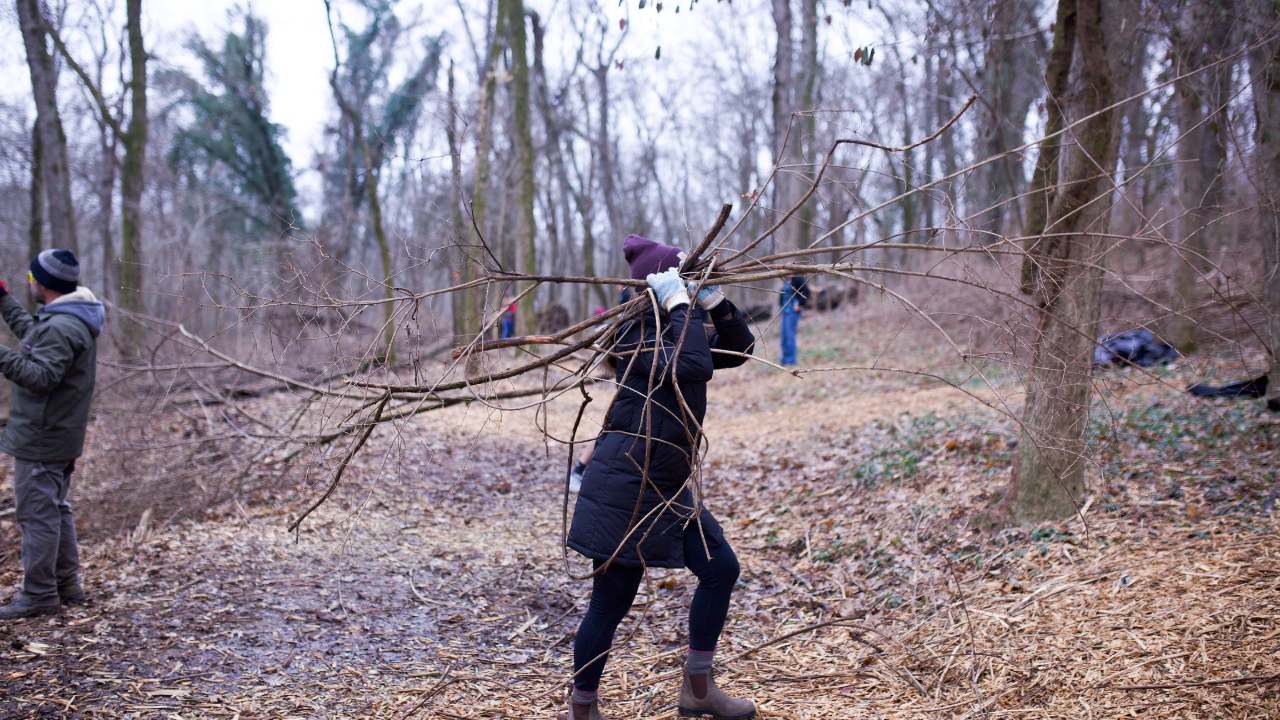 Girl carrying several dead invasive plants