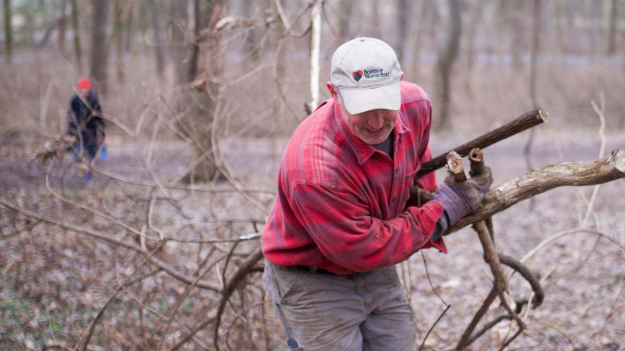 Man holding a bundle of dead invasive plants.