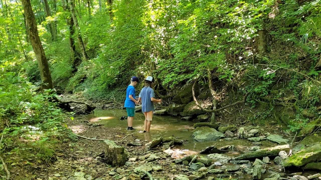 Two kids exploring in a creek