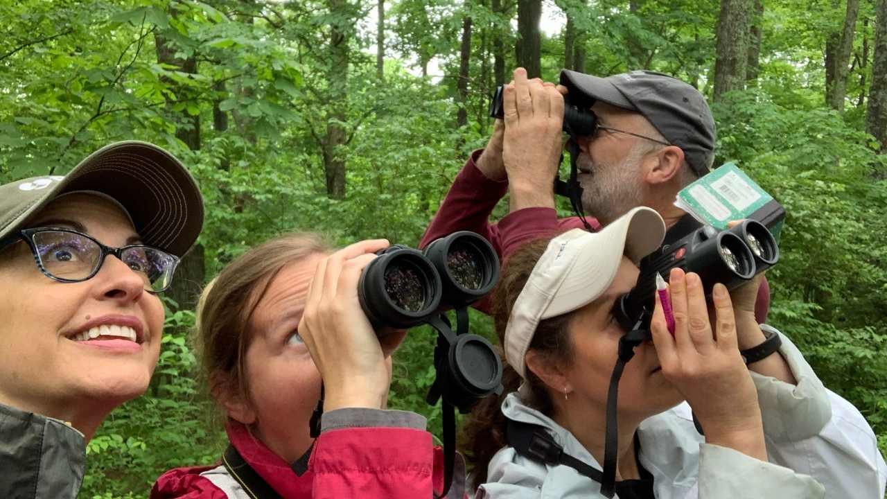 Group looking through binoculars pointed up to the sky