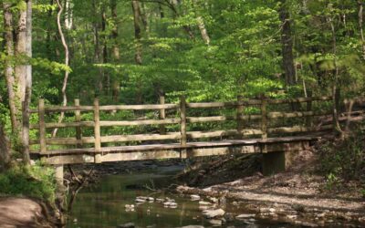 Cane Connector Trail Temporarily Closed for Bridge Repair