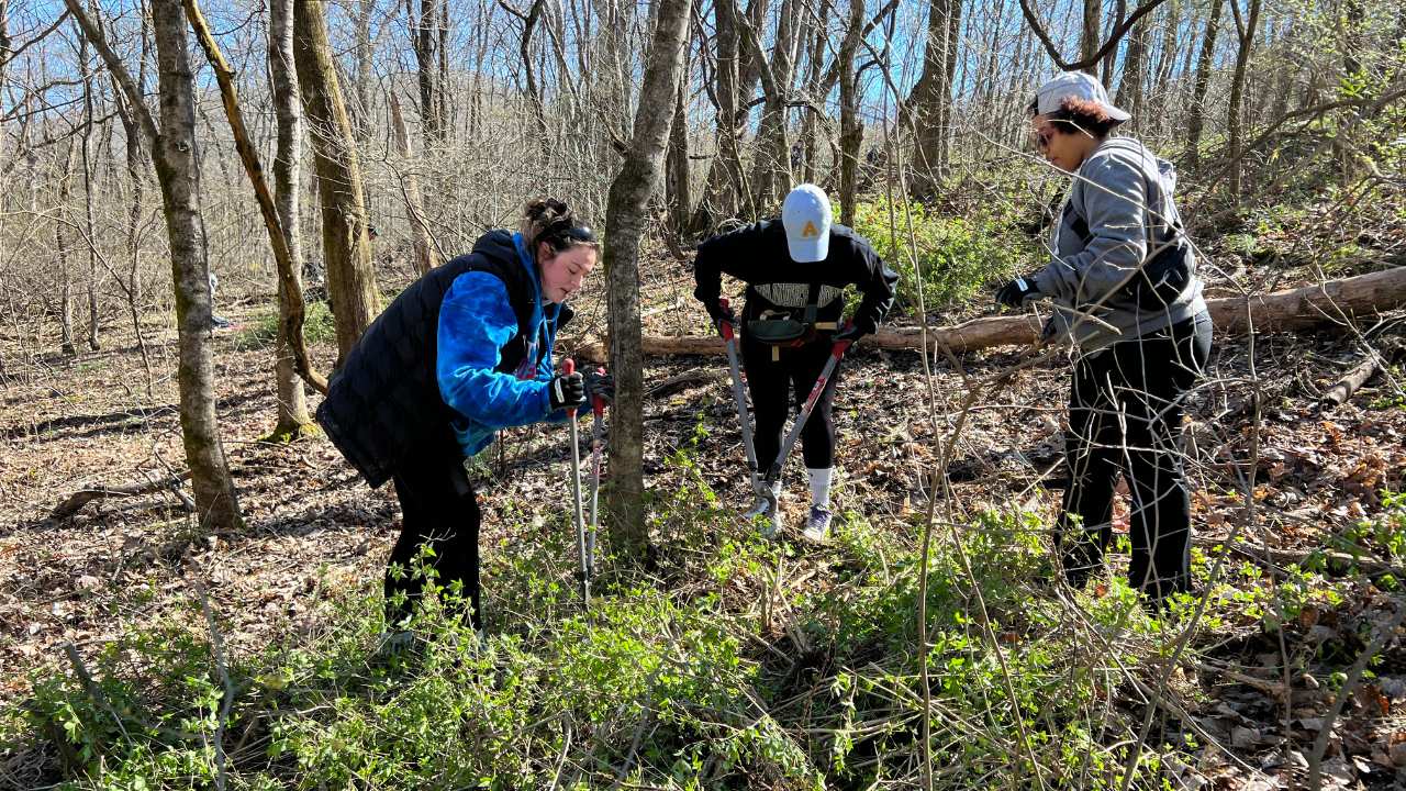 Volunteers planting tree