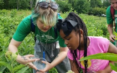 “I’m Not Afraid of Bugs Anymore!” and Other Summer Camp Highlights