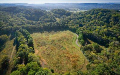 The Clare Armistead Meadow Restoration in Warner Parks