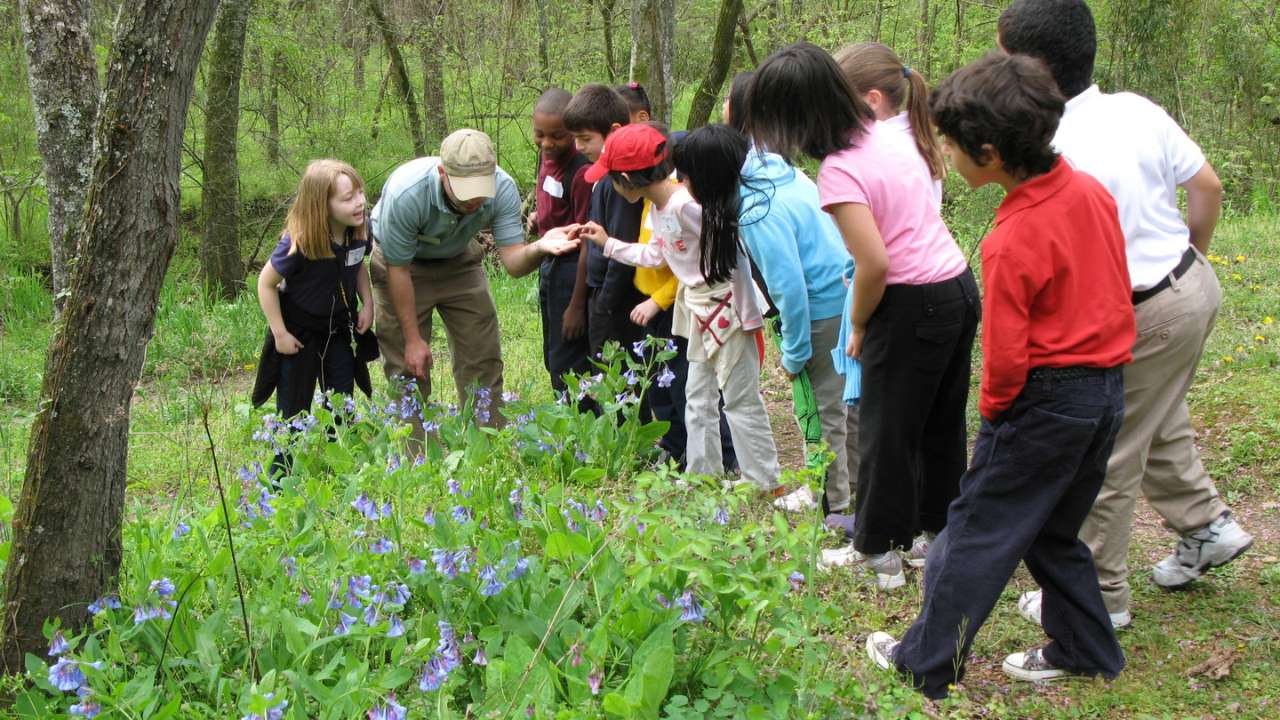 kids hiking with naturalist