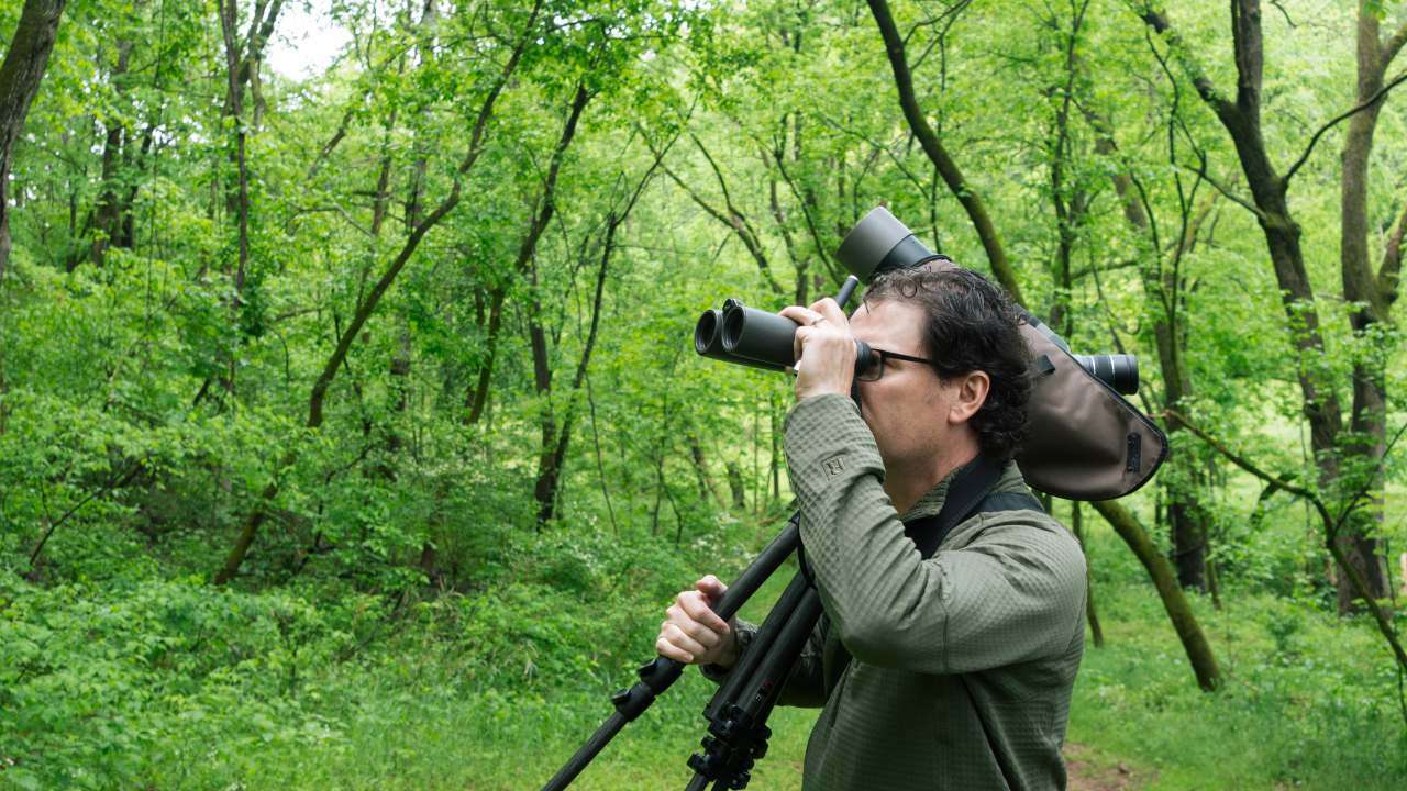 man in forest bird watching through binoculars