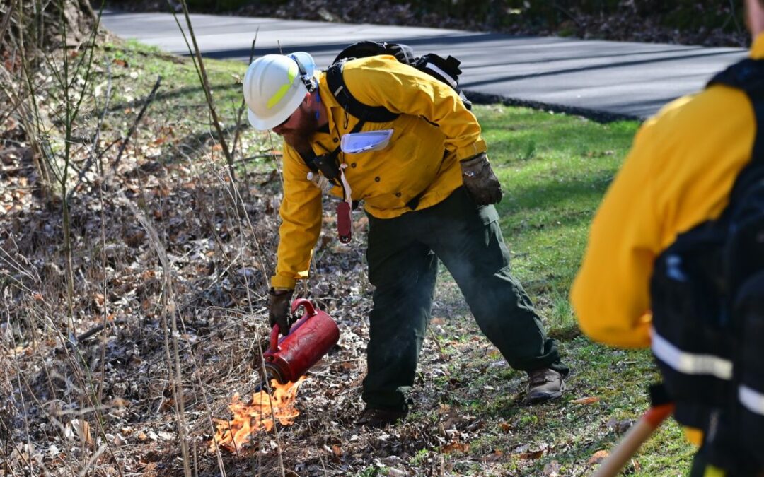 First-Ever Prescribed Burn in Warner Parks