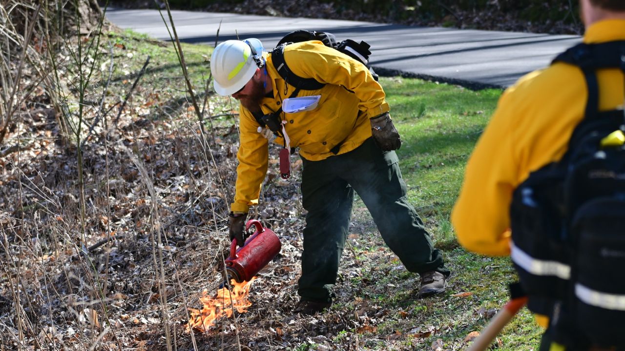 Prescribed-Burn-Header-2025
