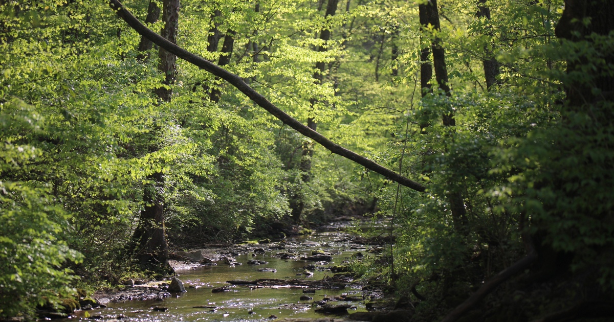 Creek