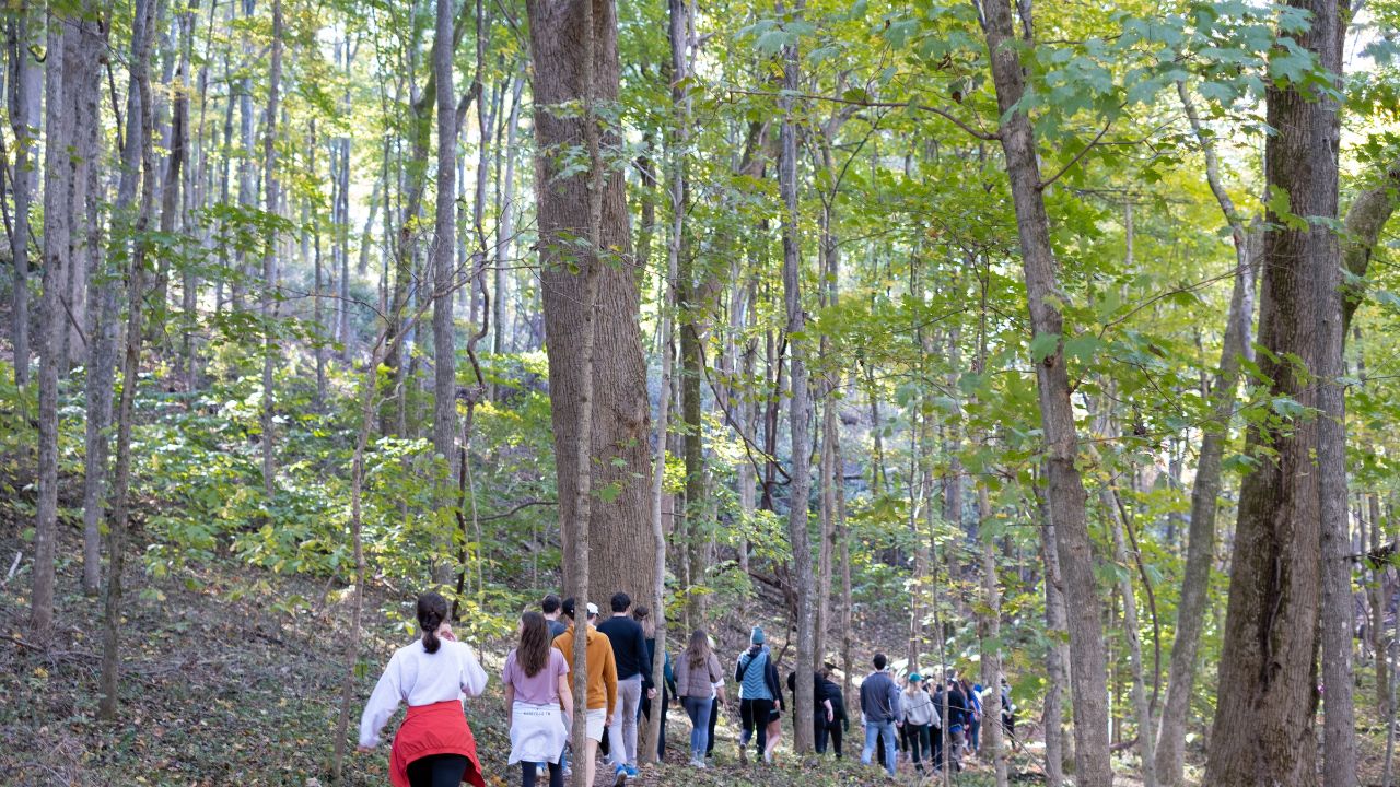 group hike