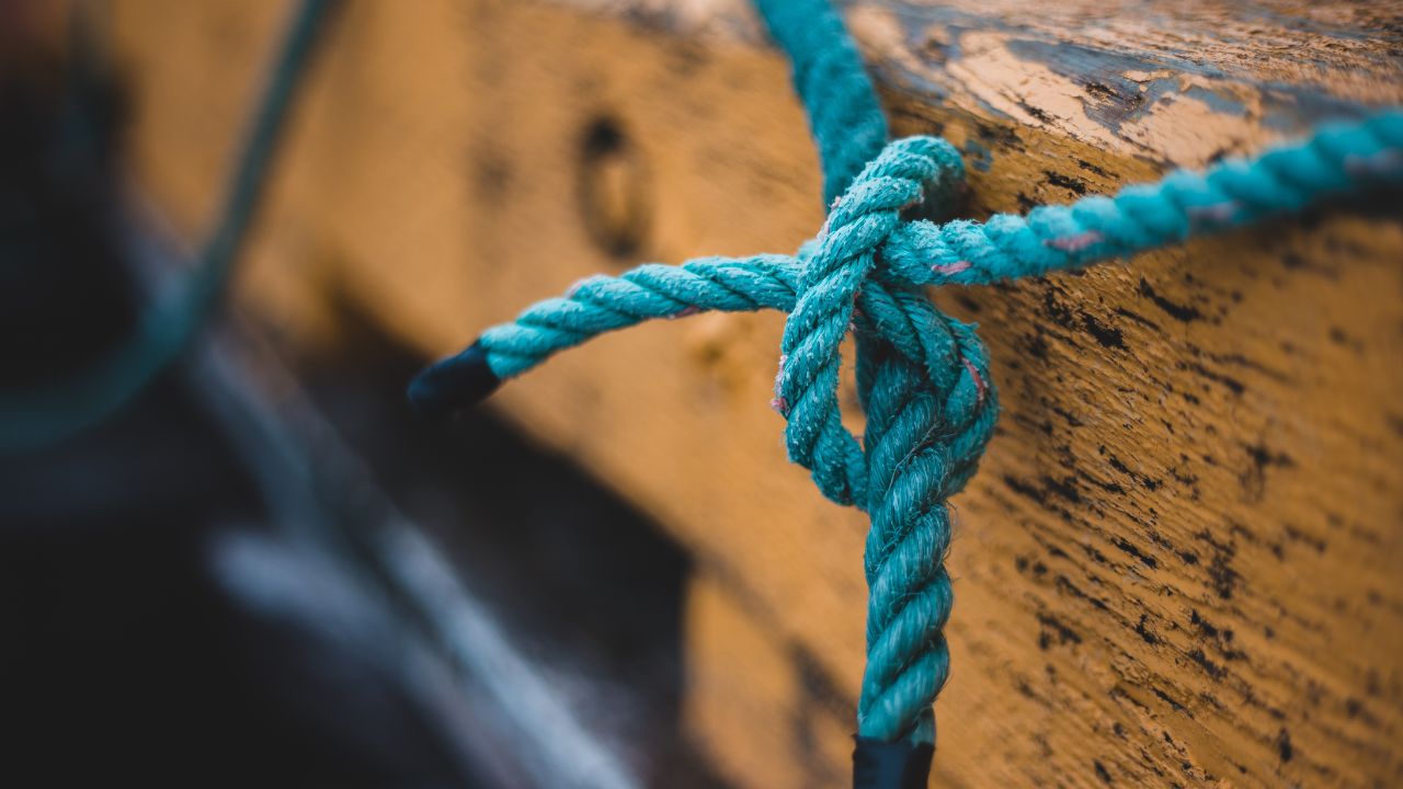 blue roped in a knot