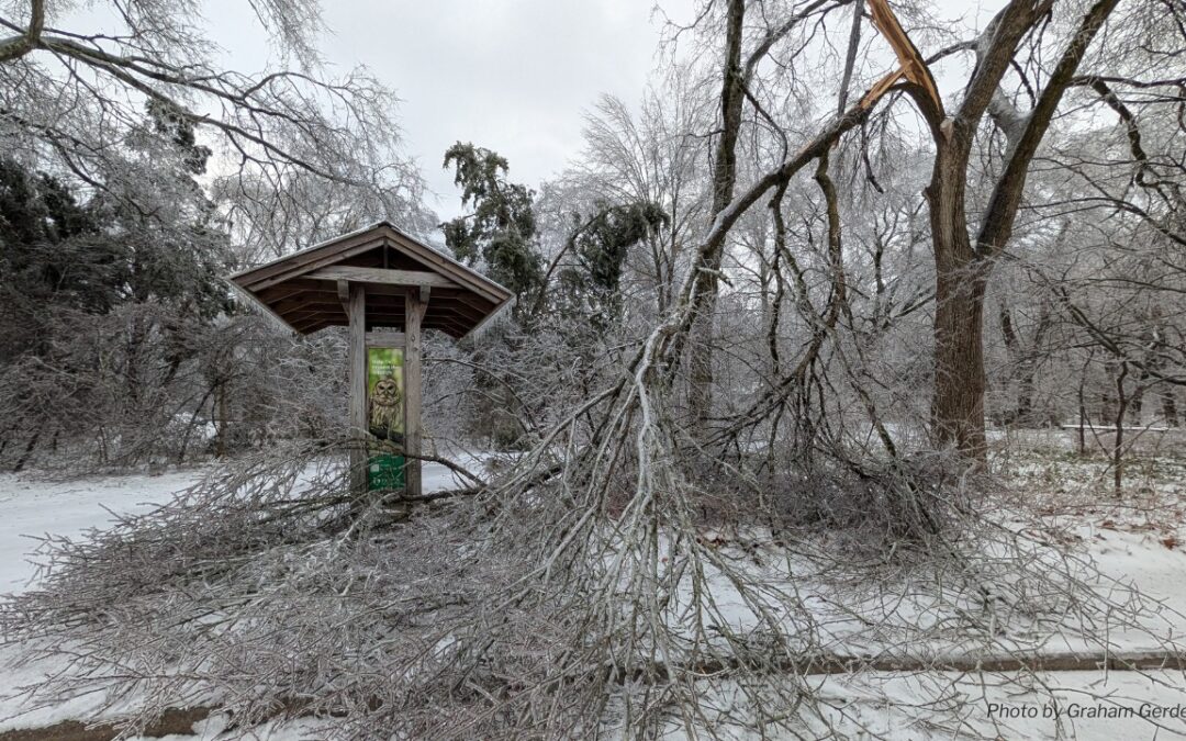 A Message to Our Community Following the Ice Storm