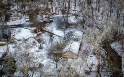 Ice Storm Damage Update: Warner Parks Recovery & Safety Information