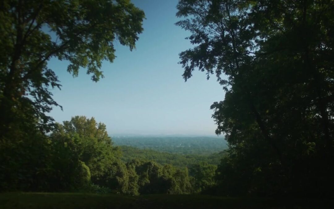 Percy Warner Park Reopens March 21 After Historic Ice Storm Recovery