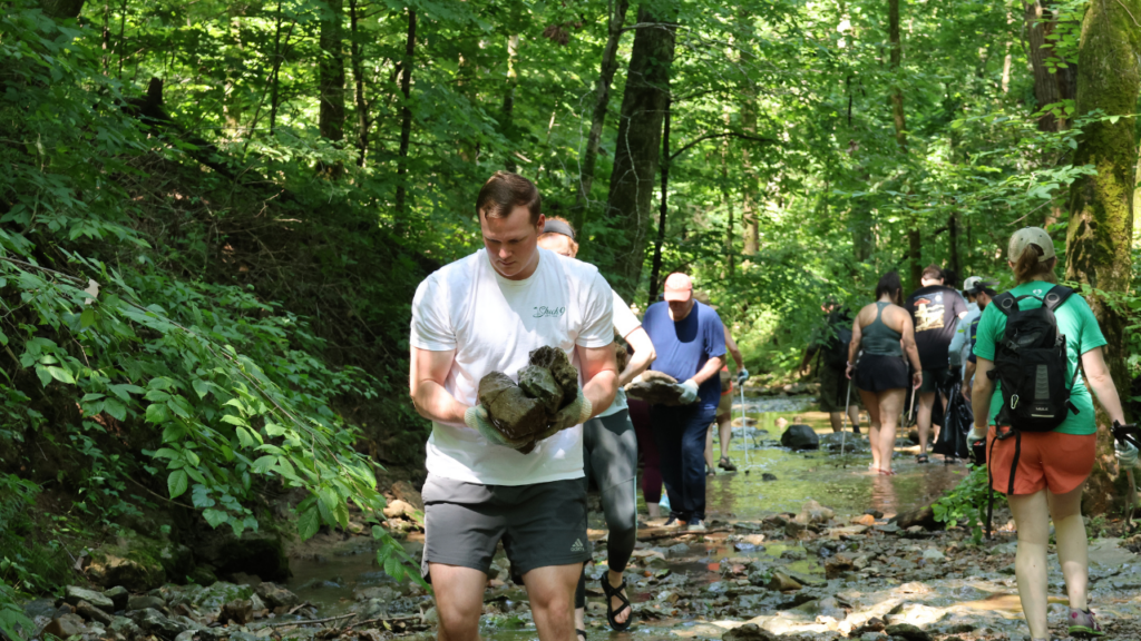 volunteers moving rocks in a creek