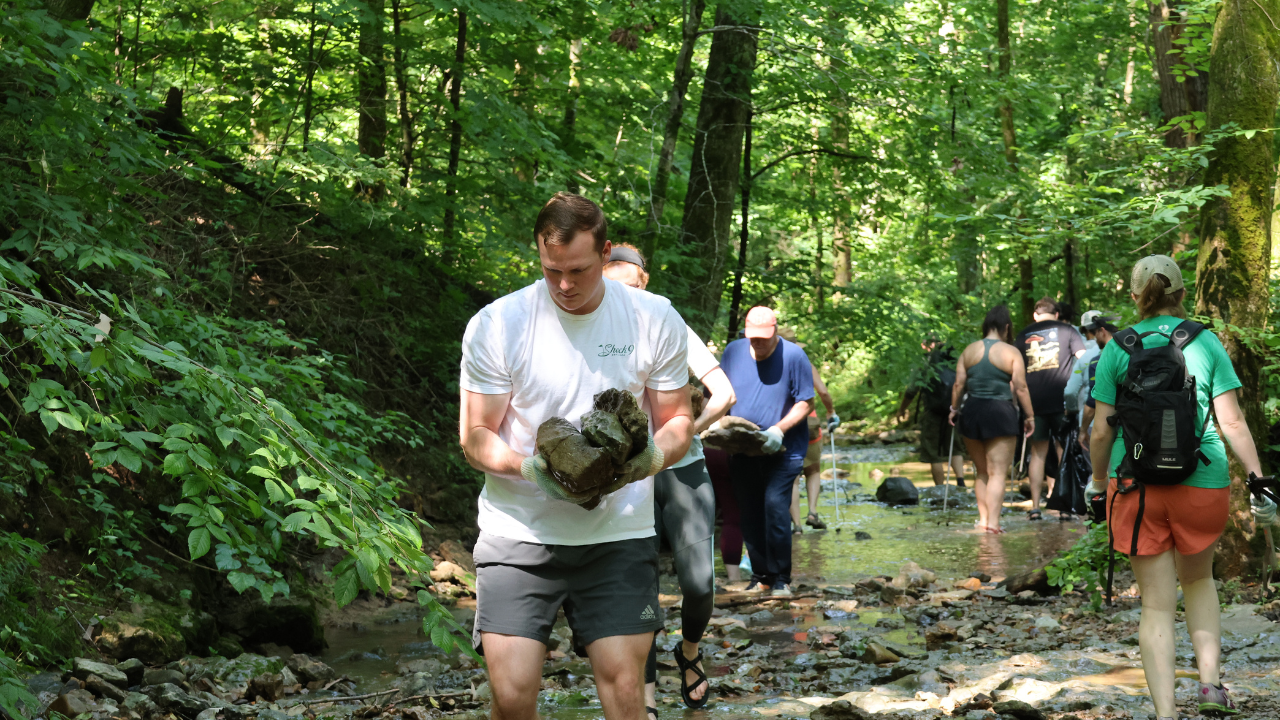 volunteers moving rocks in a creek