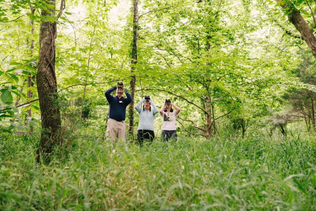 People in the Warner Parks forest looking at trees through binoculars