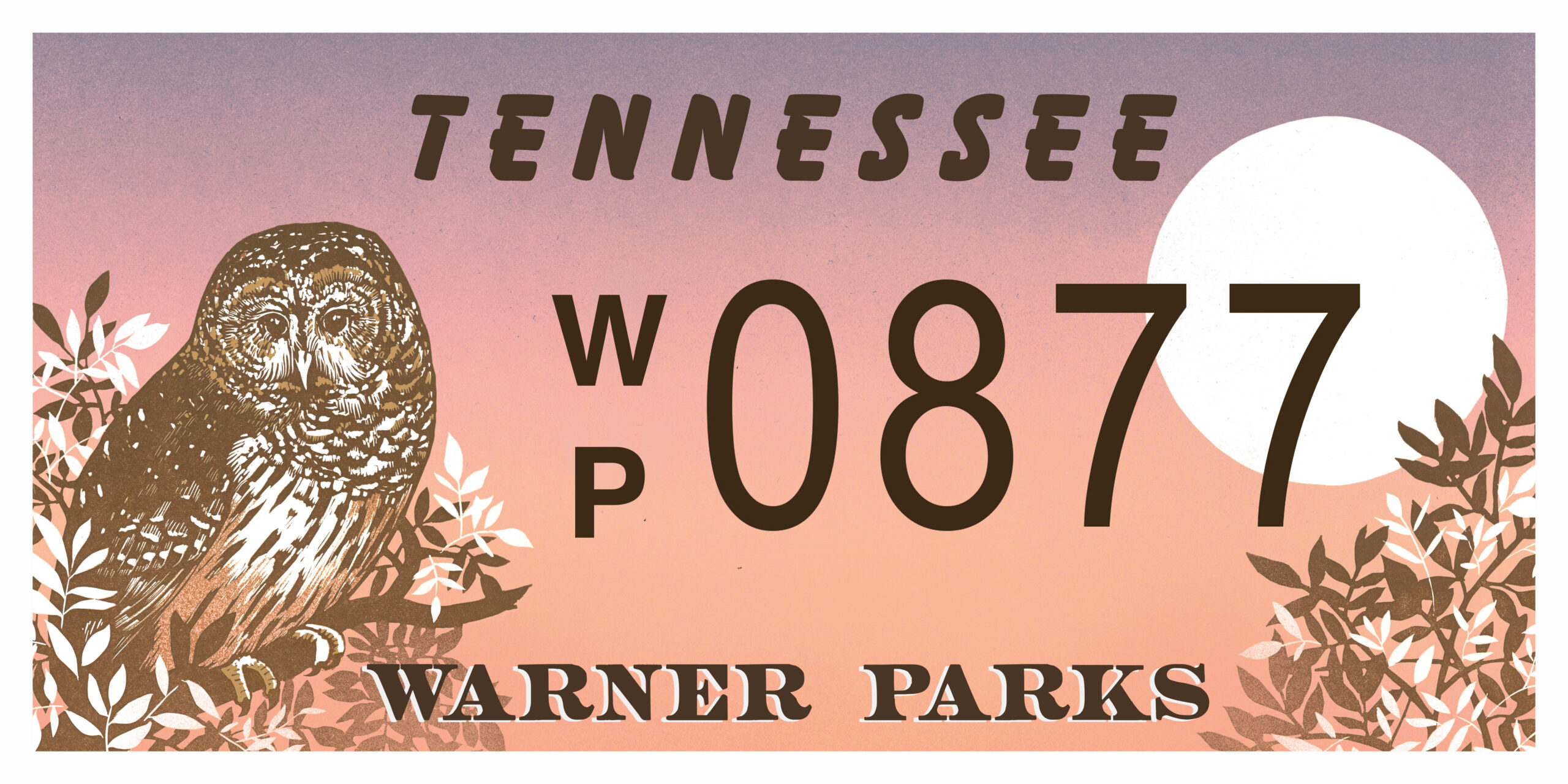 Warner Parks License Plate Final The plate was designed by artist Laura Baisden of Camp Nevernice, a custom letterpress and illustration company based in Nashville, Tennessee. This is the final design, but the State of Tennessee approves and prints the license plates and may require minor changes. The image above is approximately what the license plate will look like, not the final version.