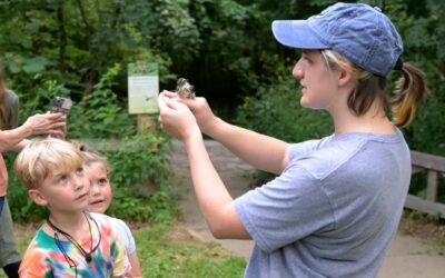 Recap: 2026 MAPS Bird Banding in Warner Parks
